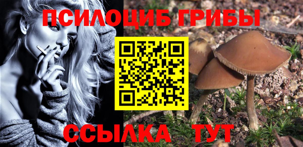 Псилоцибиновые грибы Psilocybine cubensis  Вход с VPN  Карачаевск 