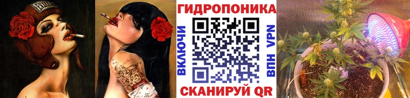 как найти закладки  Карачаевск  Марихуана план 